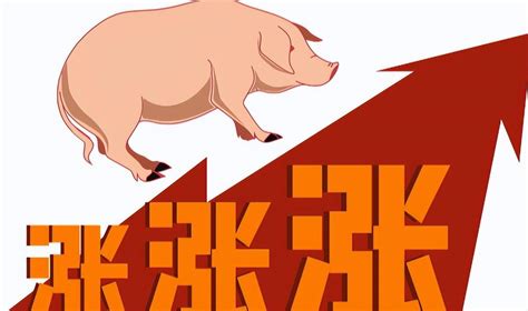 #猪价上涨势不可挡暴涨蹦涨涨价中