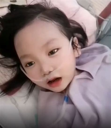 三岁女孩去世捐献器官救五人