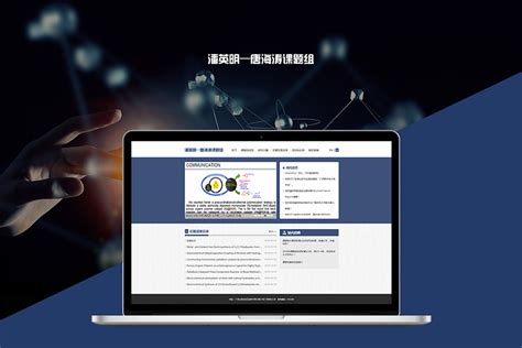上海专业做网站的公司