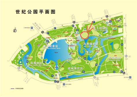 上海世纪公园开放时间