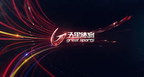 上海体育频道的官网