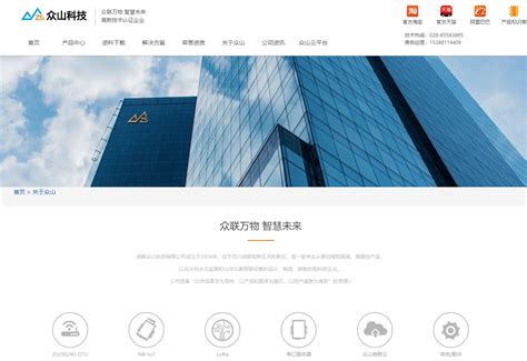 上海公司网站建设开发