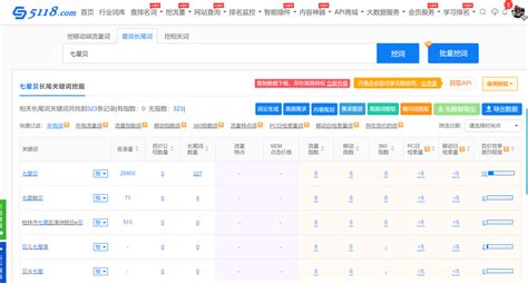 上海关键词排名软件