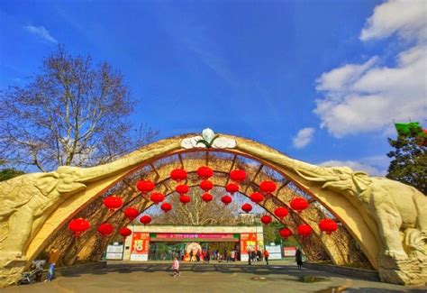 上海动物园附近好玩的地方推荐
