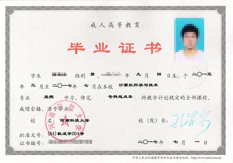 上海外国语大学毕业证照片尺寸