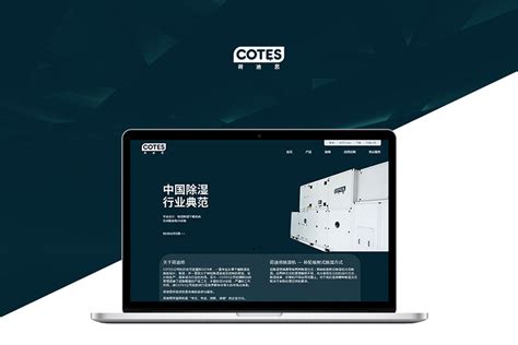 上海定制网站开发公司