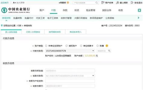 上海对公账户代办流程