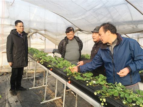 上海市农业技术推广中心网站