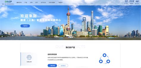 上海新型网站建设平台
