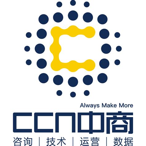 上海标准网络科技代理商