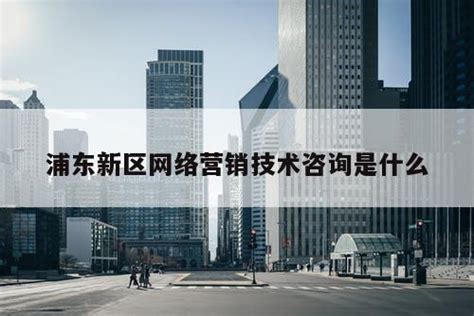 上海网络营销技术咨询厂家