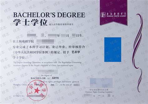 上海财大国际教育学院毕业文凭