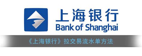 上海银行怎样拉流水