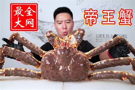 世界上最大的帝王蟹