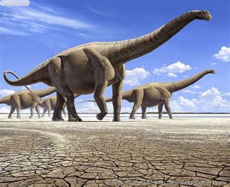 世界上最大的恐龙排名
