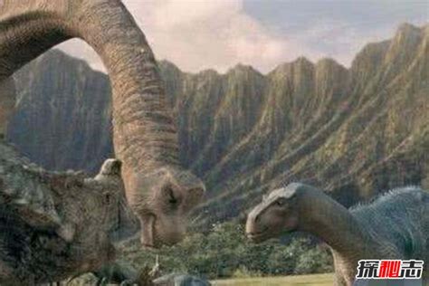 世界上 唯一活下来的 恐龙