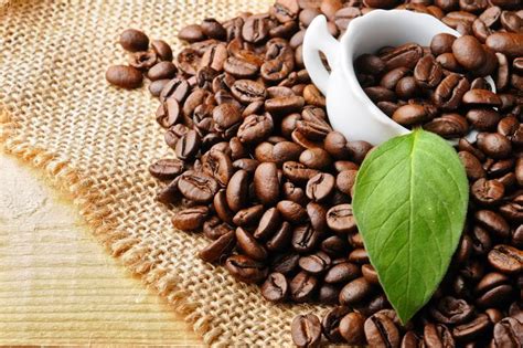 世界咖啡豆十大排行榜
