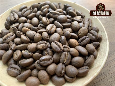 世界咖啡豆品牌排行榜