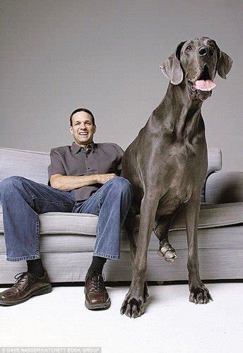 世界最高狗去世