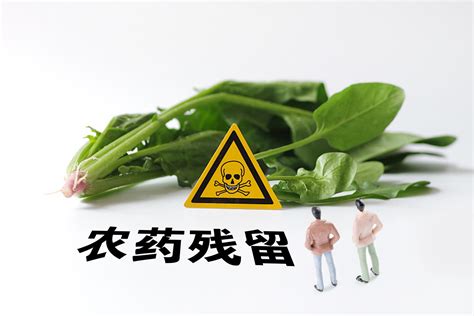 世界韭菜农残标准