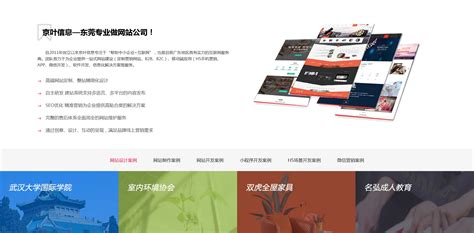 东莞专业的高端网站设计
