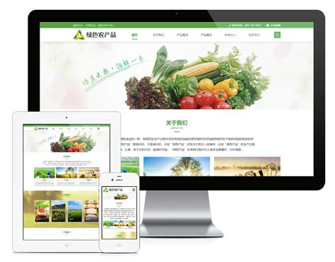 中卫农产品网站优化推广
