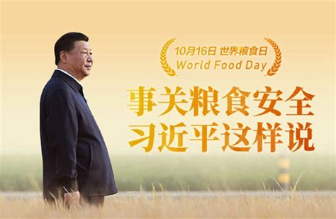 中国专家说粮食安全