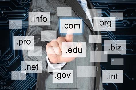 中国互联网域名注册机构是什么