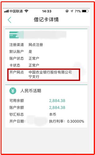中国农业银行对公账户查询明细