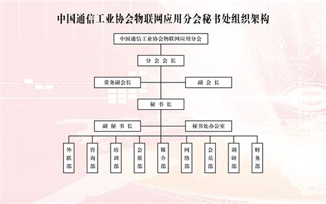 中国周易协会组织架构