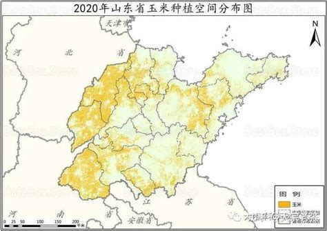 中国哪个省玉米最多