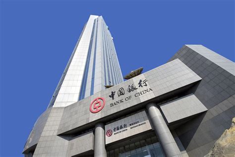 中国国家开发银行服务机构