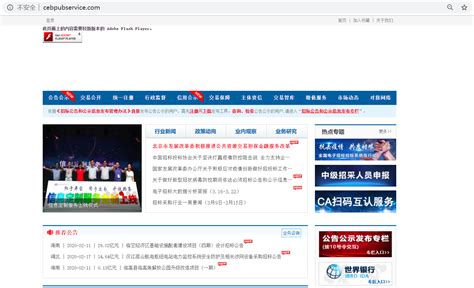中国国际招标投标网官网