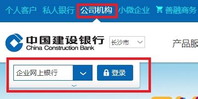 中国建设银行官方网站企业登录