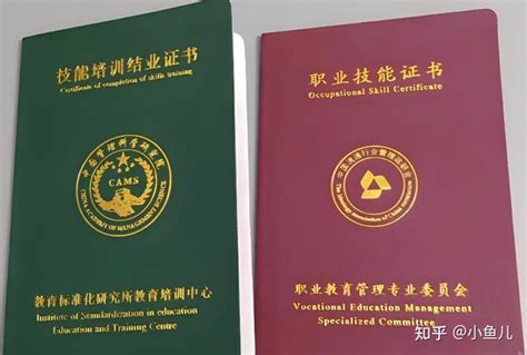 中国教育证书认可度