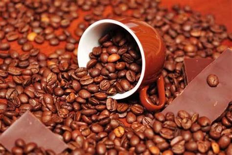 中国最好的咖啡豆产地