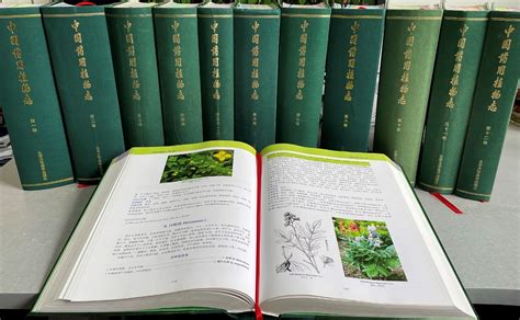 中国植物学知名人有哪些