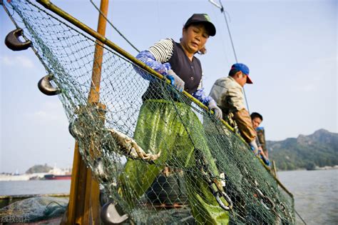 中国渔业网官网