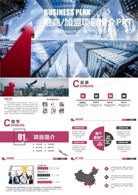 中国网站推广系统招商加盟项目
