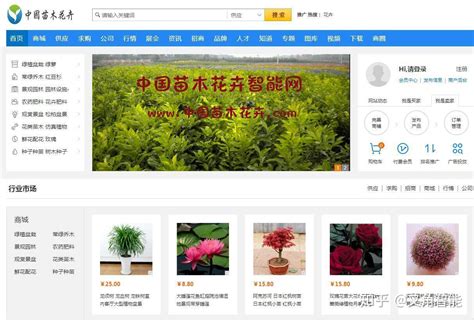 中国苗木网价格信息网