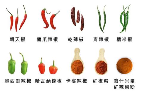 中国辣椒品种大全