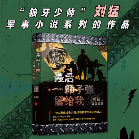 中国长篇反谍小说