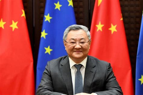 中国驻欧盟大使集体发言