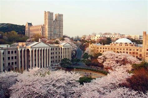中学生去庆熙大学留学条件