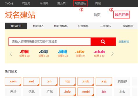 中文域名免费查询官网