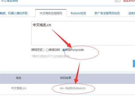中文域名的网站可以优化么