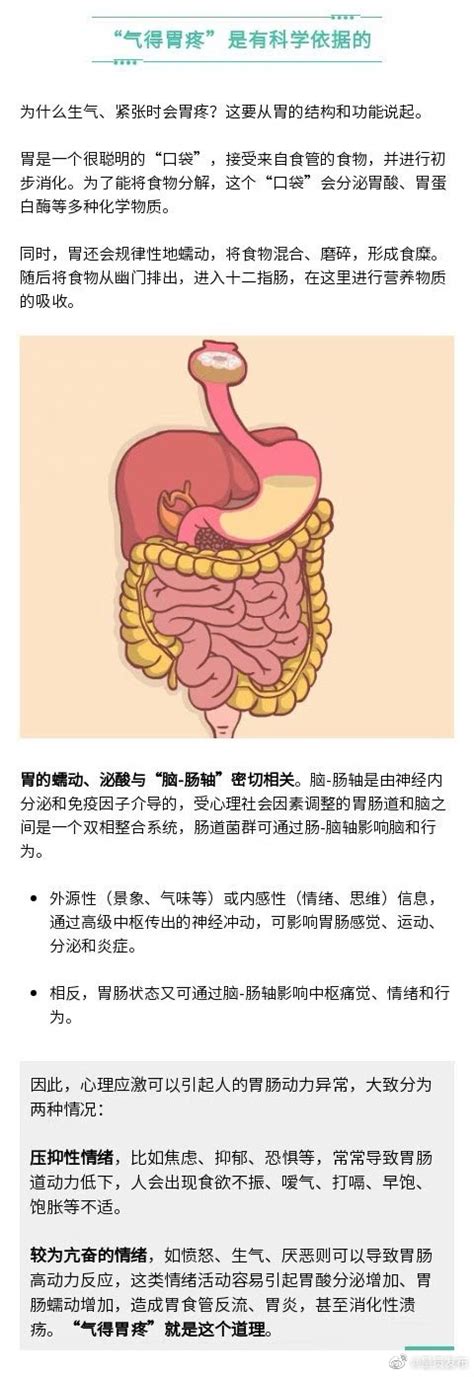 为什么说胃是情绪器官呢