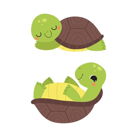 乌龟当枕头躺江边熟睡