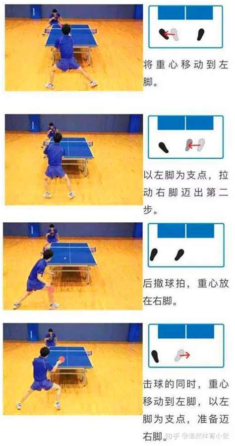 乒乓球各种步法学习