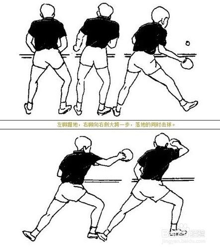 乒乓球基本步法有五种